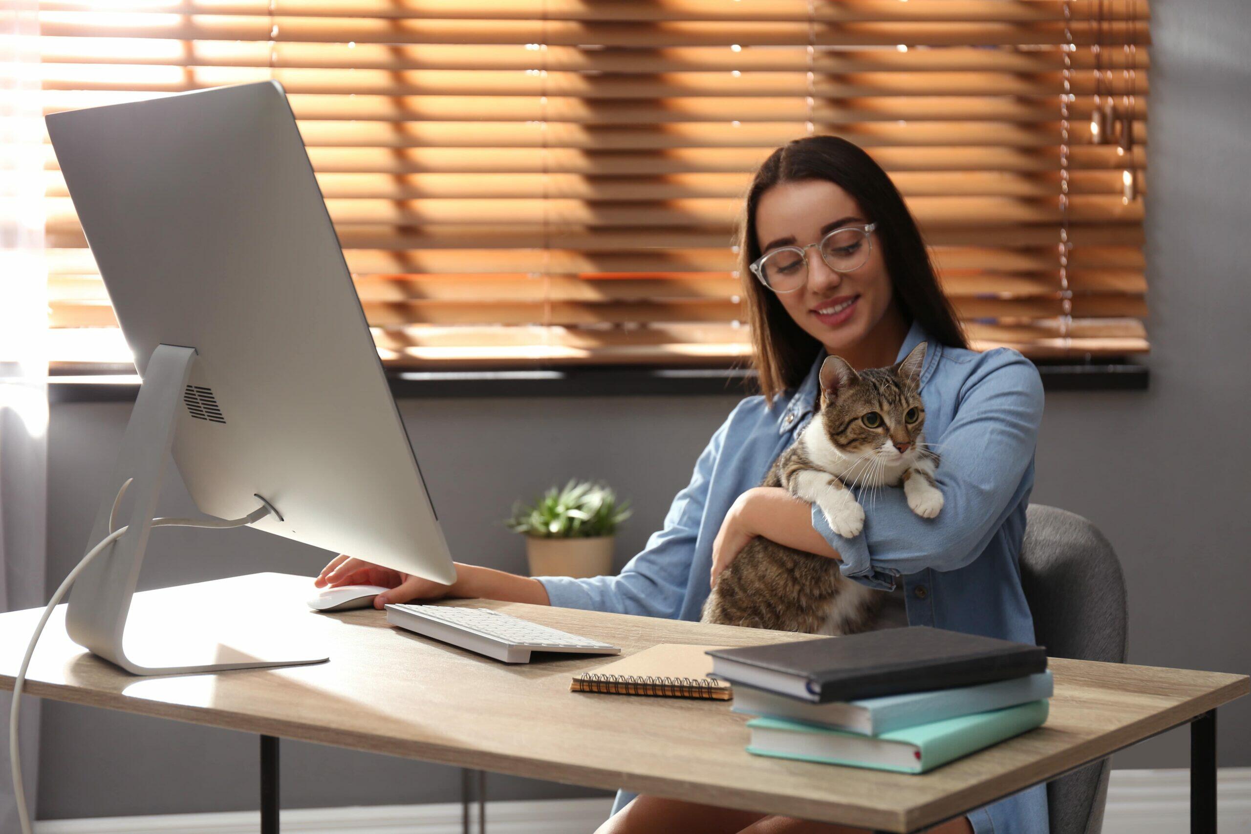 Mulher sorridente trabalhando em escritóri com um computador e segurando um gato sentado na mesa, ambiente com iluminação natural e decoração moderna.